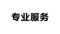 专业服务