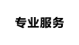 专业服务