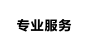 专业服务
