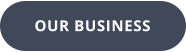 OUR BUSINESS