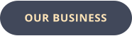 OUR BUSINESS